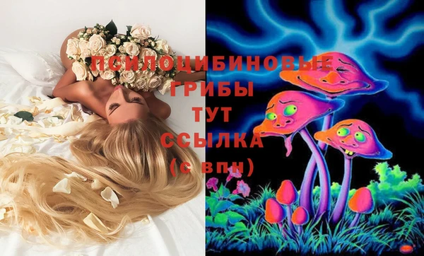 mdma Медвежьегорск
