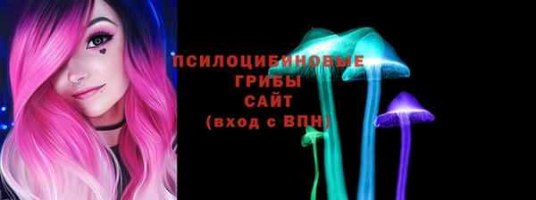 МДПВ Михайлов