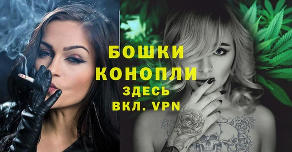 тгк Медногорск