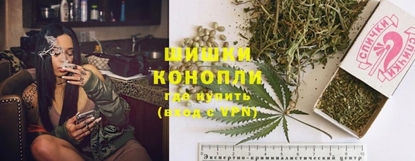 МДПВ Михайлов