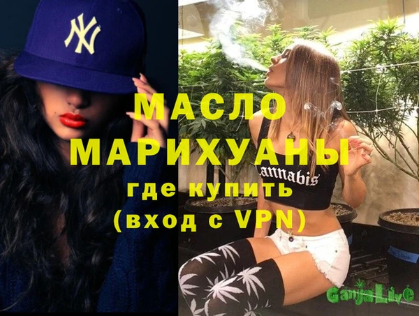 МДПВ Михайлов