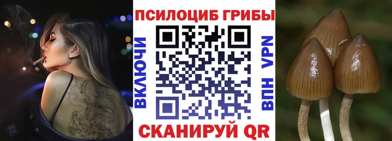 Галлюциногенные грибы прущие грибы Макушино