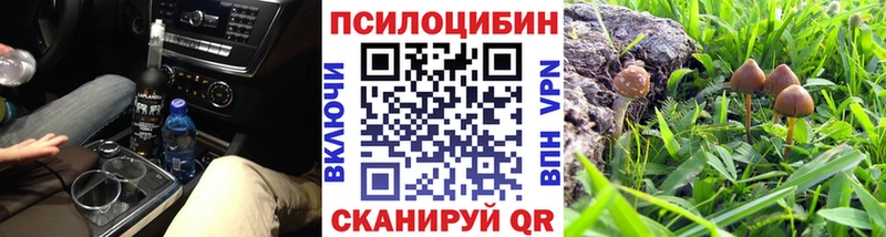 Купить  Макушино  Псилоцибиновые грибы MAGIC MUSHROOMS 